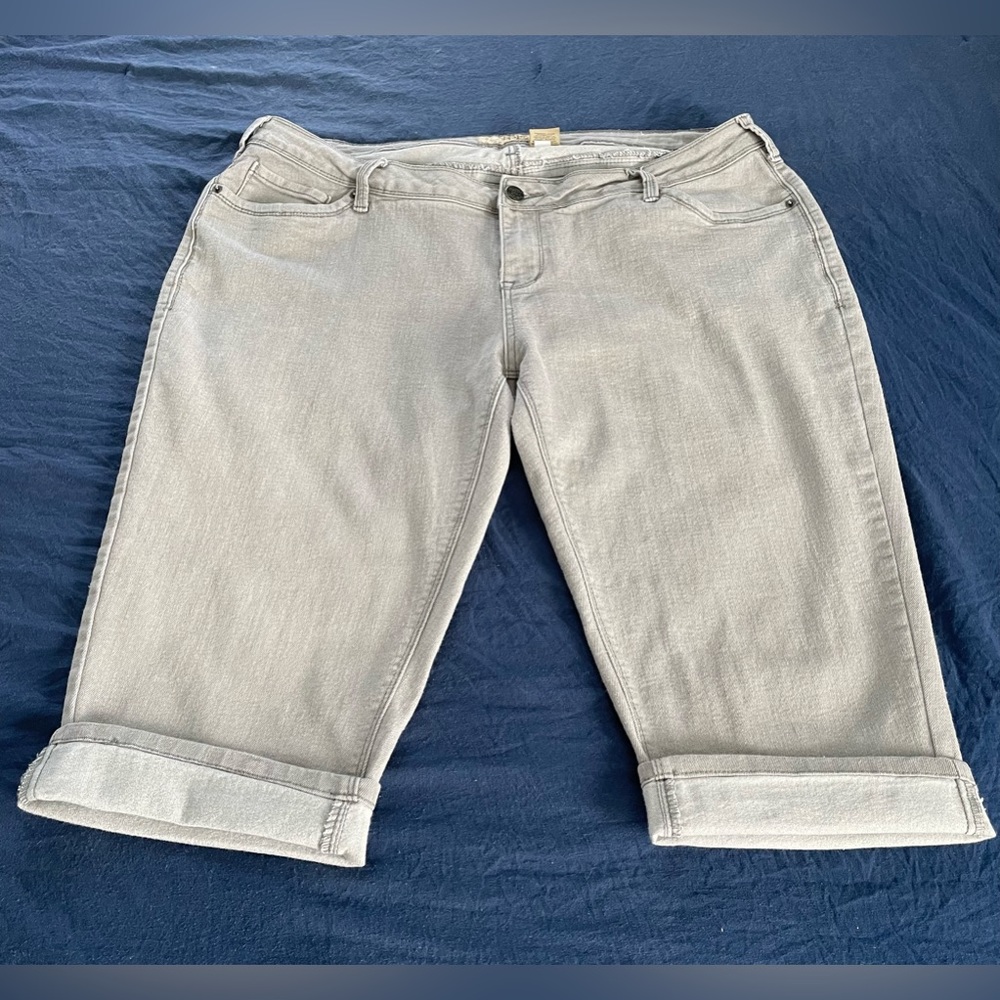 Hybrid & Company Capri Pants Plus Size